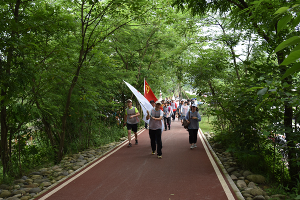 1557807056468860.jpg 03.JPG